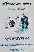 Carole BAPST